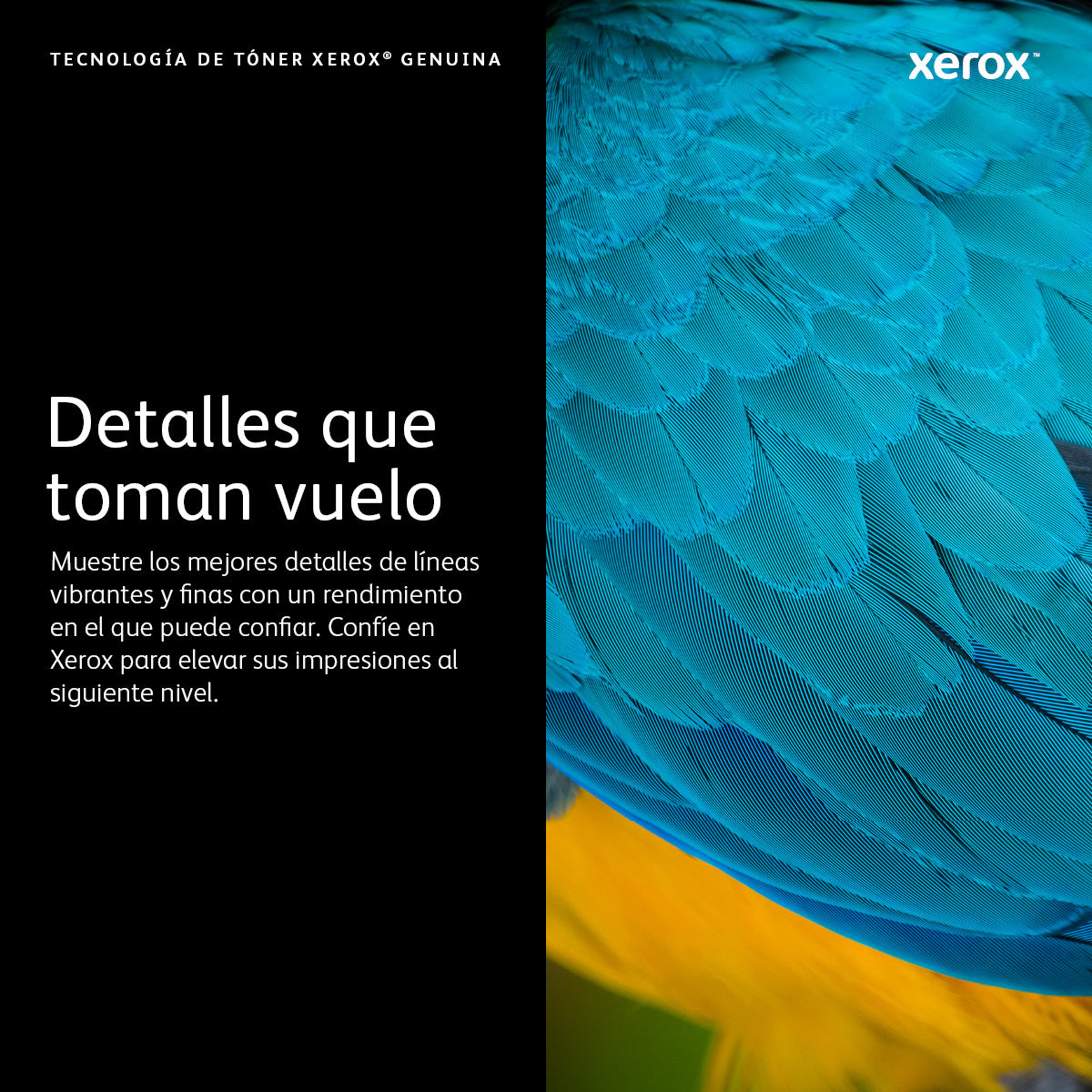 XEROX 106R03768 TONER CYAN ALTO