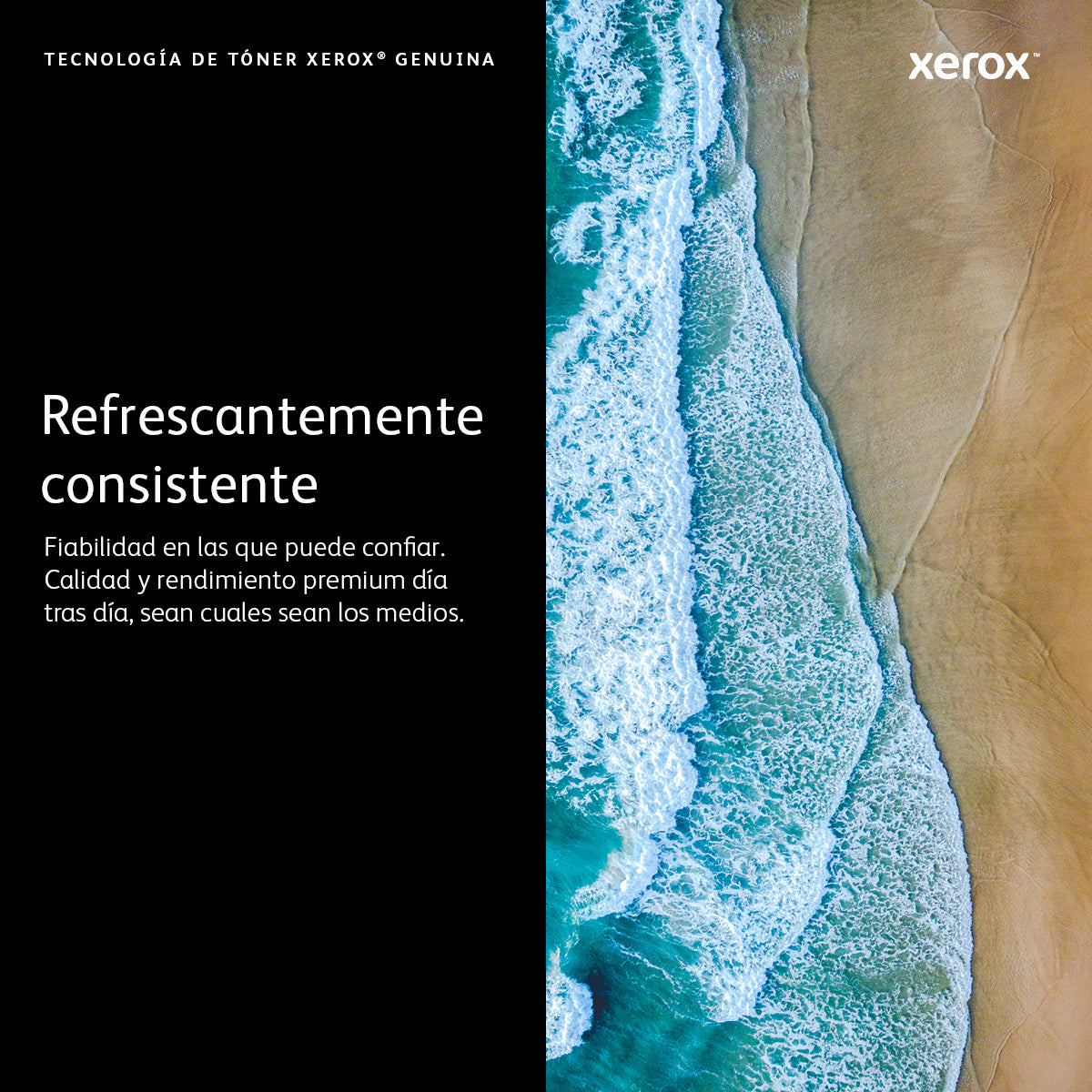 XEROX 106R03768 TONER CYAN ALTO