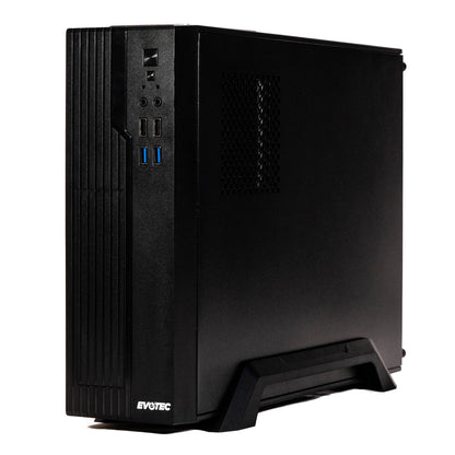 COMPUTADORA EVOTEC INTEL CELERON N100, 8GB, SSD 240GB, KIT TECLADO & MOUSE & BOCINAS, WIN 11 PRO PRUEBA