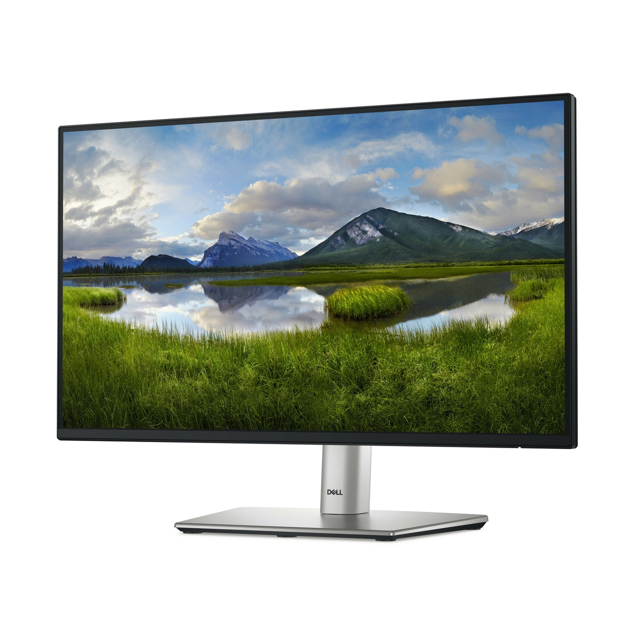MONITOR DELL P2225H , 21.5 PULGADAS, 1920 X 1080 PIXELES, NEGRO